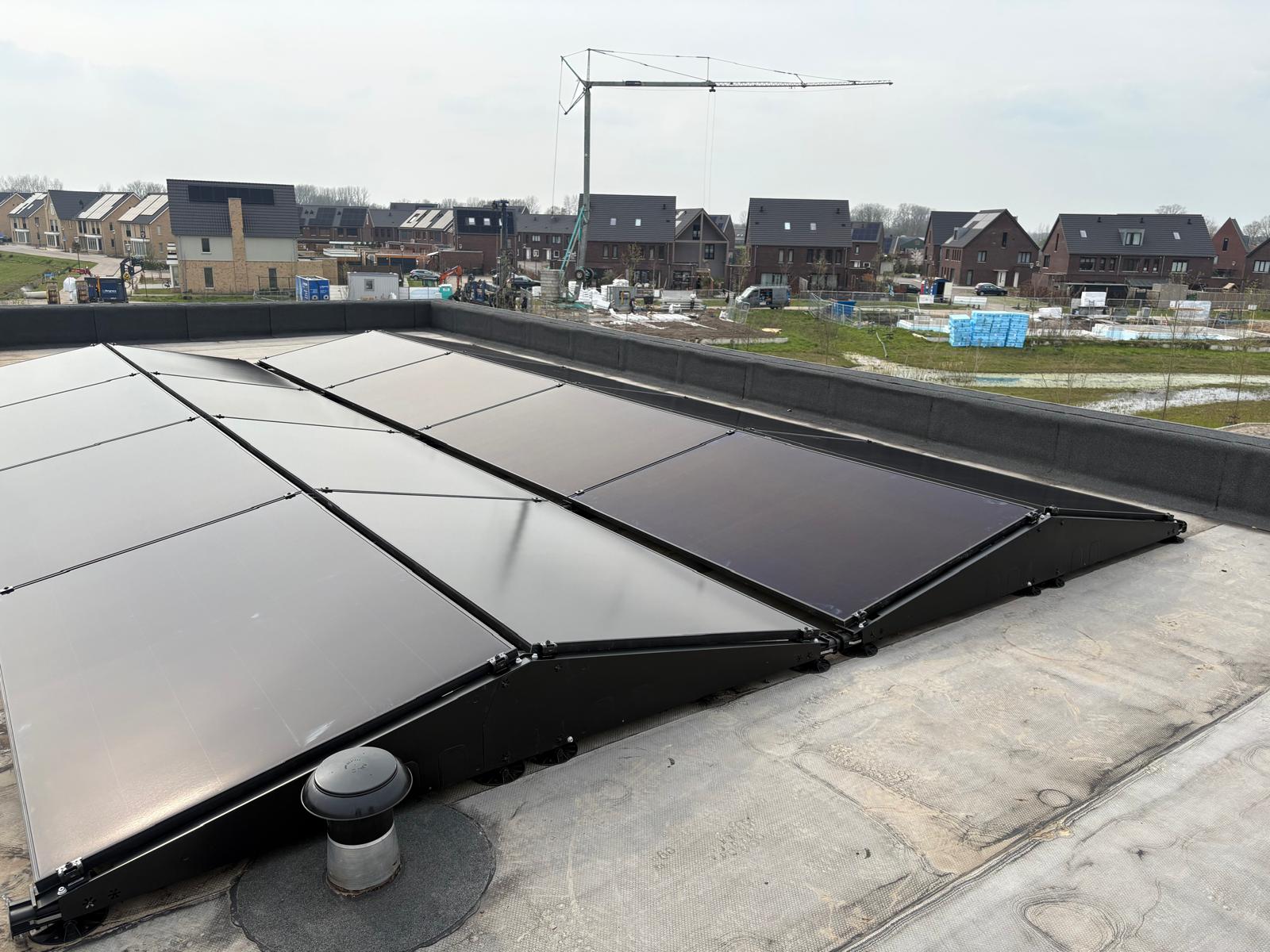 WhatsApp Image 2026-03-31 at 12.18.56